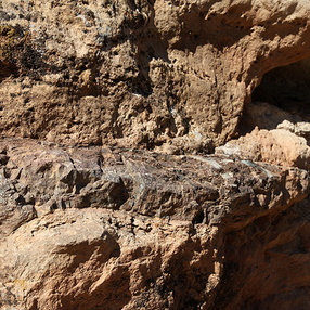 Mill Canyon Dinosaur Bones