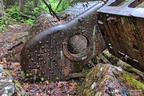 Abandoned Baldwin Mogul Locomotive BC CAN004