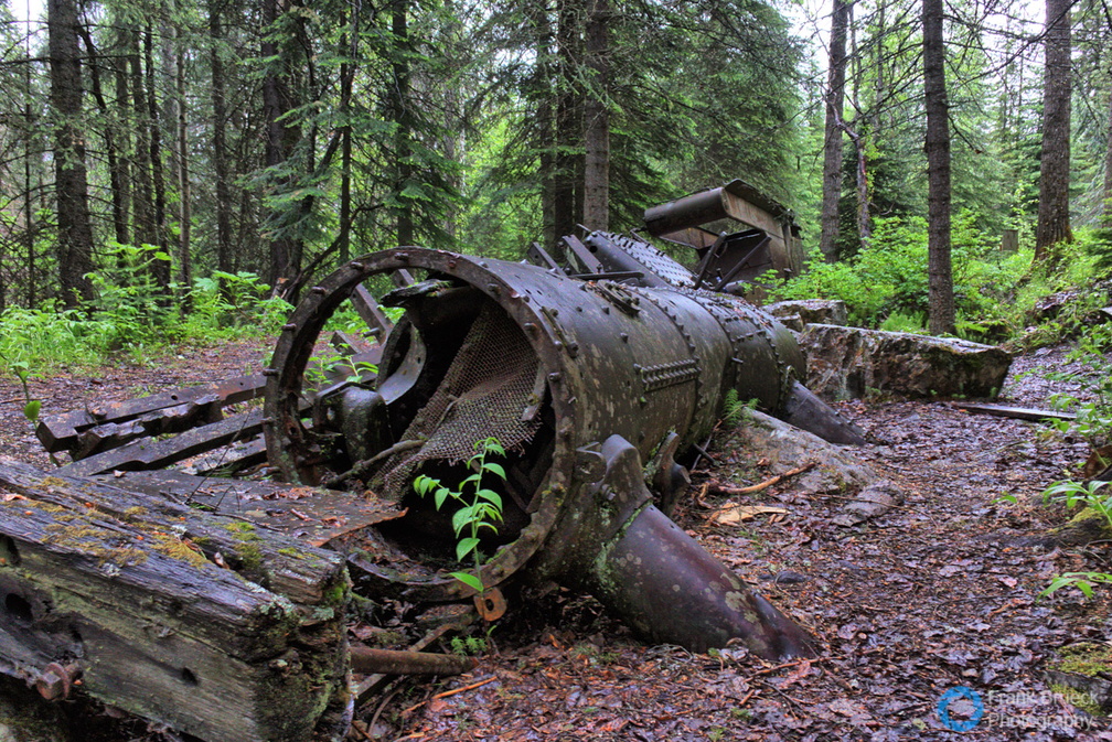 Abandoned_Baldwin_Mogul_Locomotive_BC_CAN006.jpg