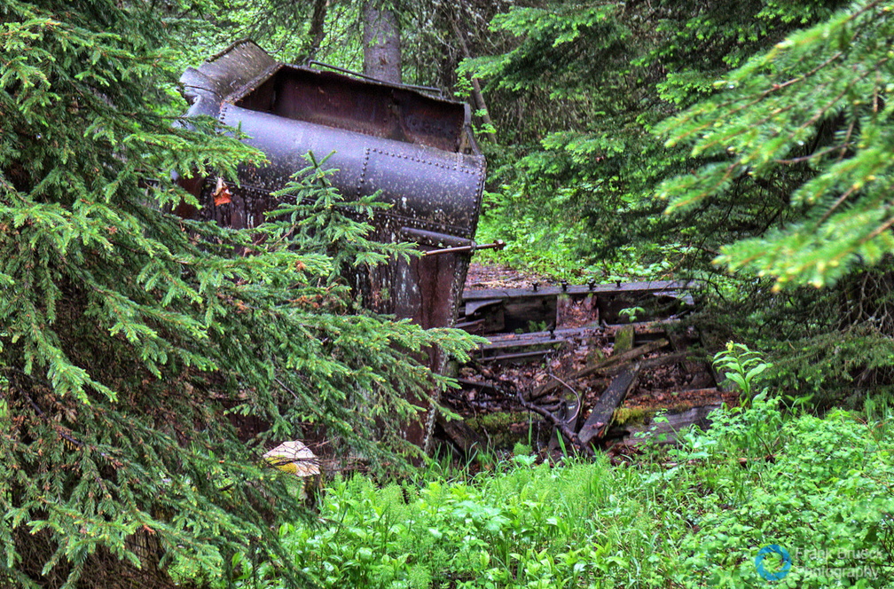 Abandoned_Baldwin_Mogul_Locomotive_BC_CAN020.jpg