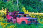 Old Truck Vancouver Island BC CAN001