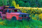 Old Truck Vancouver Island BC CAN005