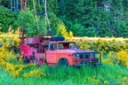Old Truck Vancouver Island BC CAN006