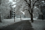 Das Olympische Dorf von 1936 IR DEU010