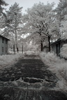 Das Olympische Dorf von 1936 IR DEU014