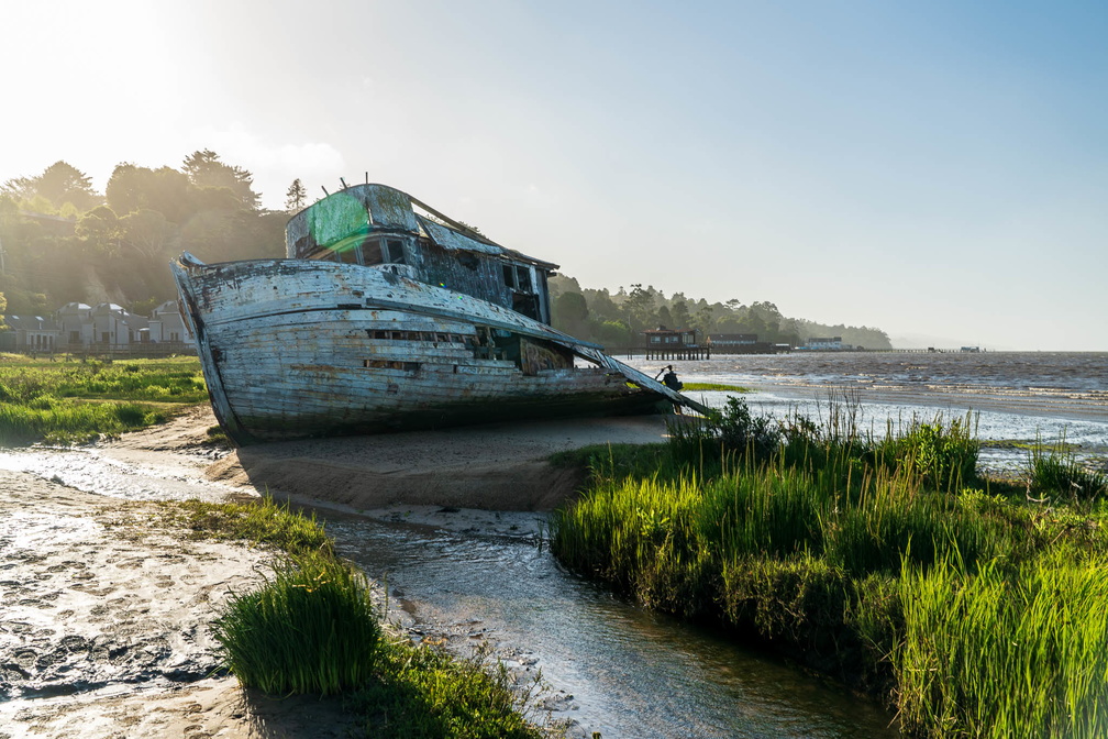 SS_Point_Reyes_CA_USA006.jpg