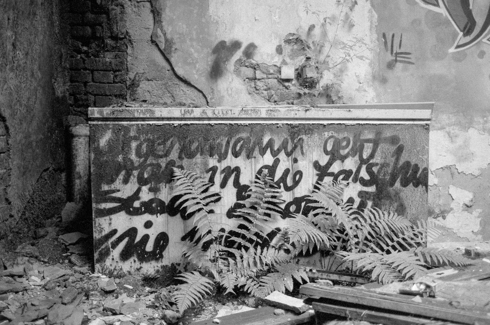 Waldsanatorium_Schwarzeck_202006_BW_DEU013.jpg
