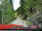 Crystal River Jeep Tour 201409 CO012
