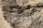 Mill Canyon Dinosaur Bones 201409 UT001