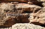 Mill Canyon Dinosaur Bones 201409 UT002