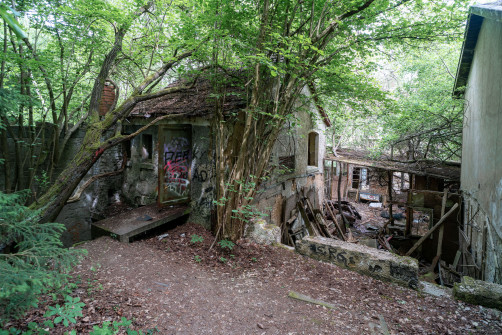 Hotel Zur Waldburg