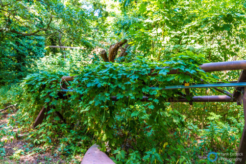 Spreepark Berlin im Plänterwald (Kulturpark Plänterwald)