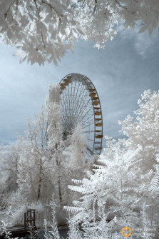 Spreepark Berlin im Plänterwald (Kulturpark Plänterwald)