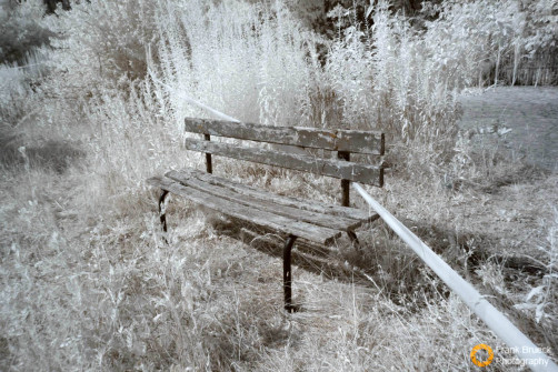 Spreepark Berlin im Plänterwald (Kulturpark Plänterwald)